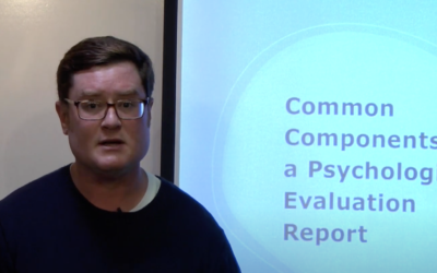 Psychoeducational Evaluations: The Basics